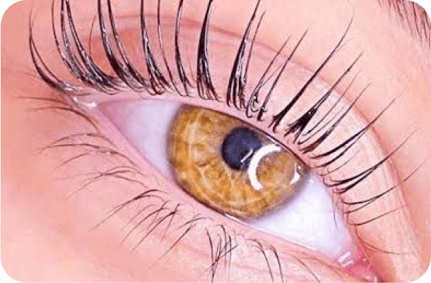 Lash lifting resultados